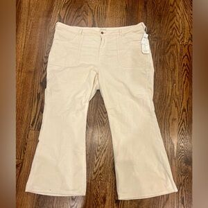 Anthropologie Pilcro Icon Flare Low-Rise Corduroy Jeans, 22w, NWT